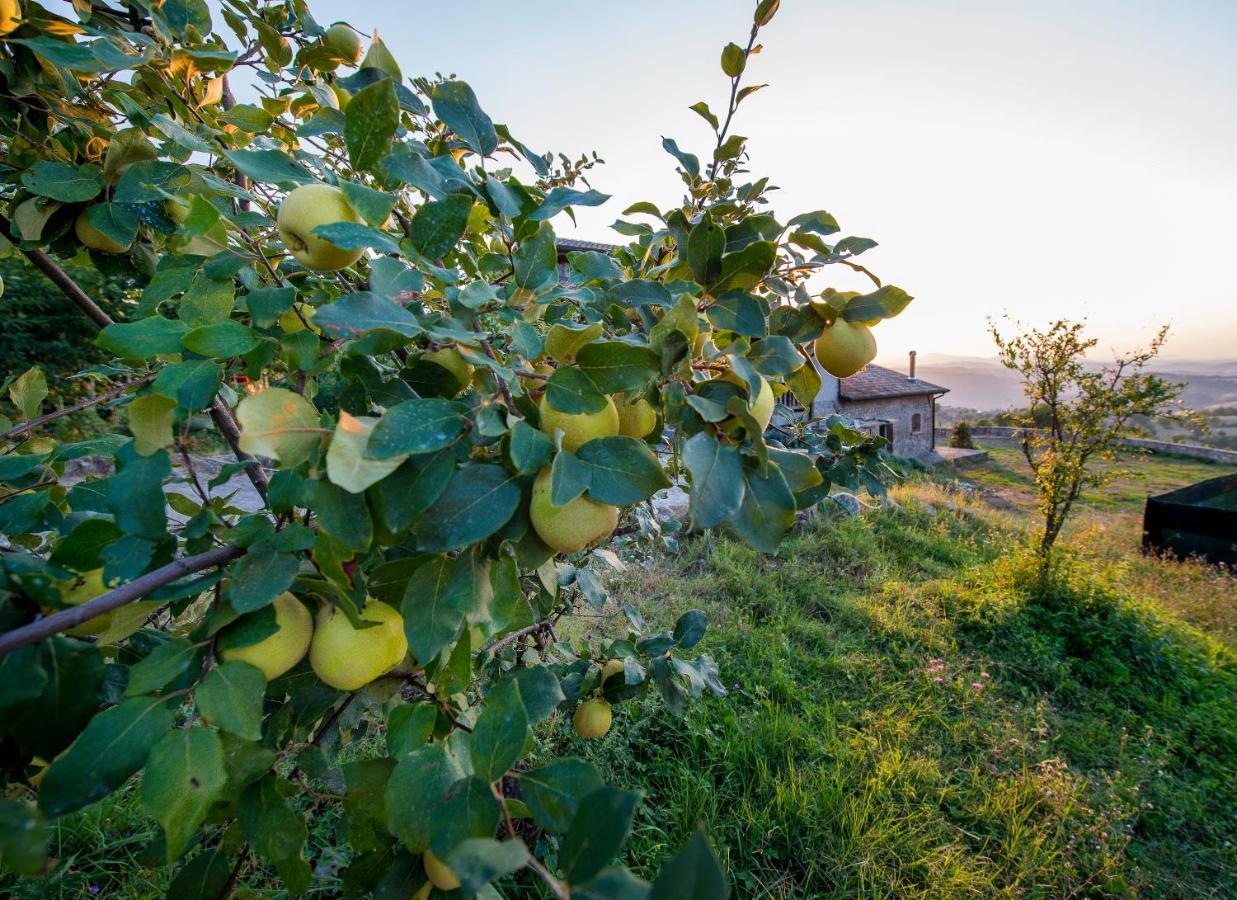 Fattoria Branciana Bed and Breakfast Rossena Eksteriør billede